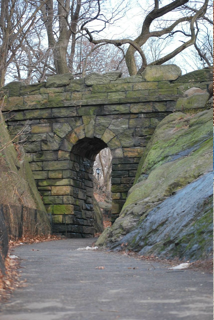 Дарья Силич | 