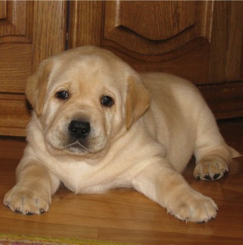 №19, Надежда Тенятова, 36 лет, Нижний Новгород №19, Надежда Тенятова, 36 лет, Нижний Новгород