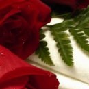 №91, Ірина Сосновська, 35 лет, Червоноград №91, Ірина Сосновська, 35 лет, Червоноград