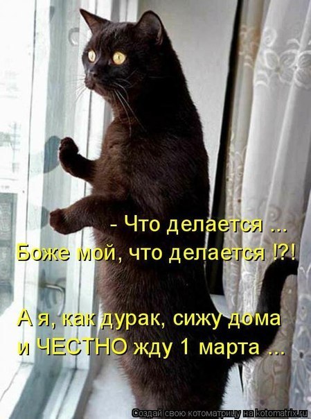 Ольга Секушина | Санкт-Петербург