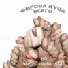 Аватар: Михмих Михалыч