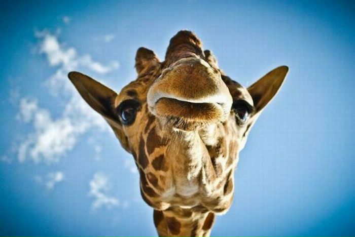 №65, Вера Максимова, 40 лет, Санкт-Петербург, Россия №65, Вера Максимова, 40 лет, Санкт-Петербург, Россия