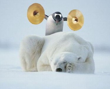 Ярослав Истигечев | Санкт-Петербург