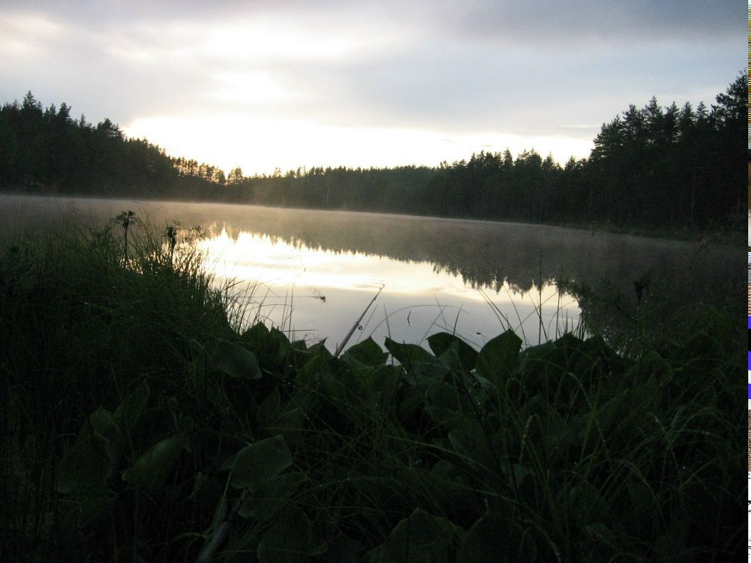 Галина Домбровская | Санкт-Петербург