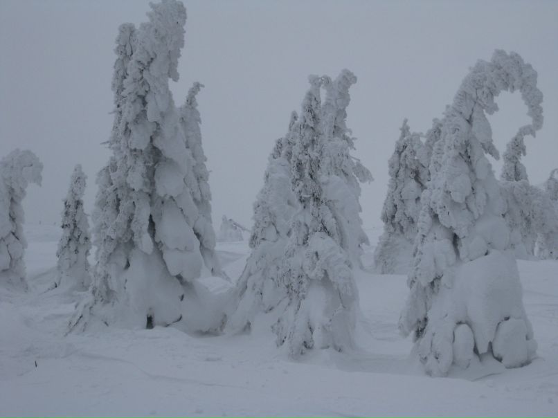 Lena Rabtsun | Киев