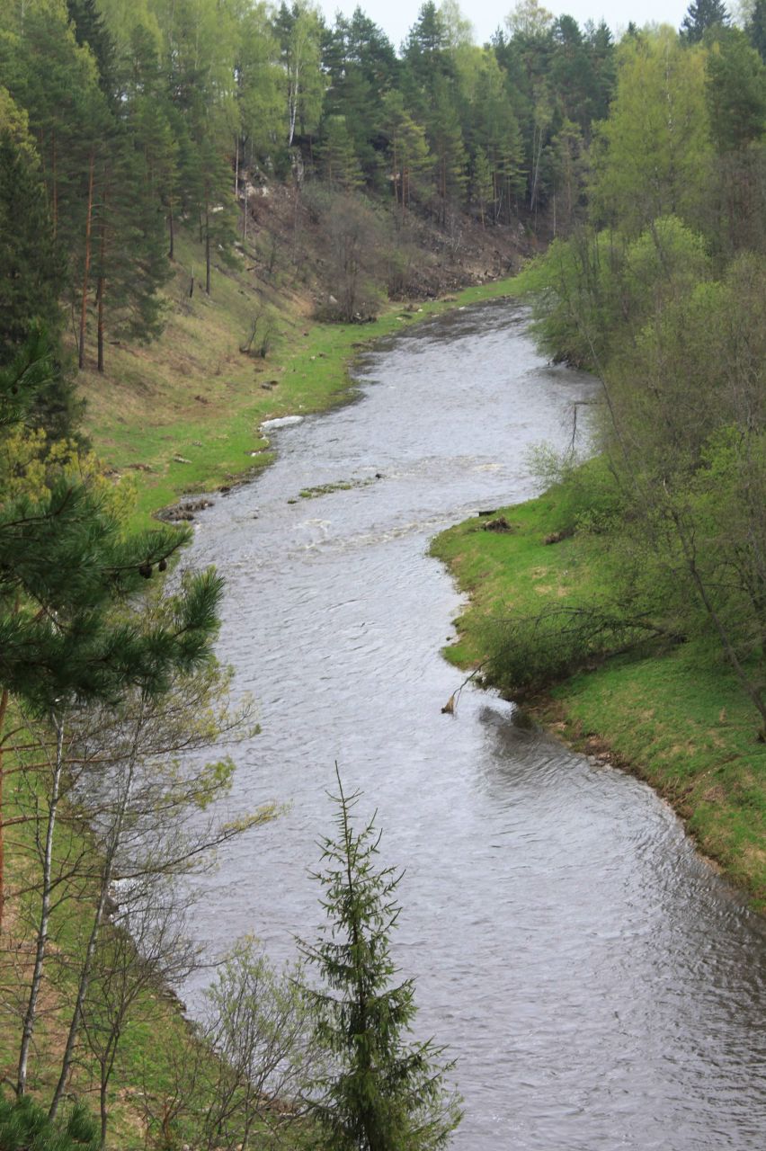 Оля Патрикеева | Москва