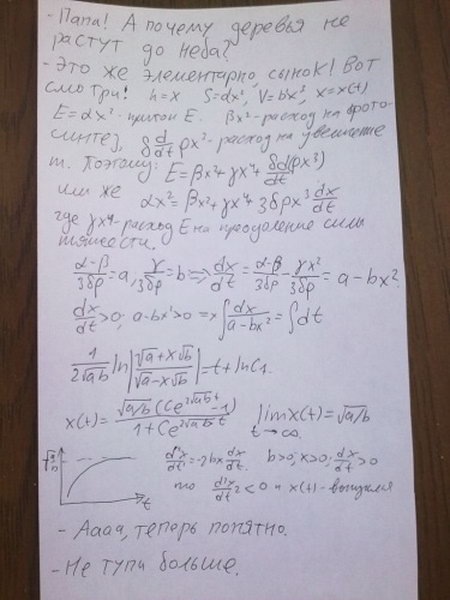 №20, Юрий Швецов, Санкт-Петербург №20, Юрий Швецов, Санкт-Петербург