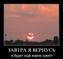 Фотография Чака Нориса