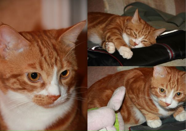 №157, Сергей Омшенецкий, 37 лет, Москва №157, Сергей Омшенецкий, 37 лет, Москва