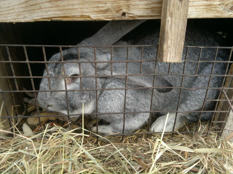 Максим Егоров | Казань