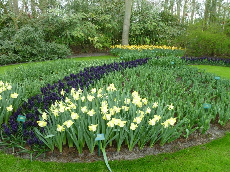 Алла Левченко | Киев