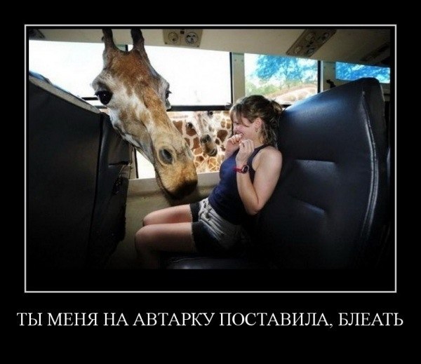 Тамара Давыдовская | Петрозаводск