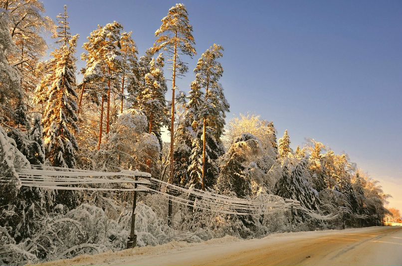 Иван Ширшиблев | Киров