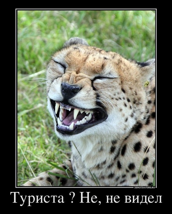 Ольга Дубровина | 