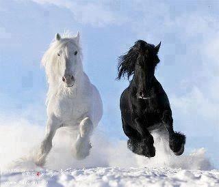 Елена Маслова парикмахер-стилист | Москва