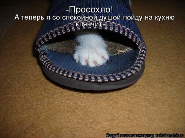 №9, Даша-Даськин Мархель №9, Даша-Даськин Мархель