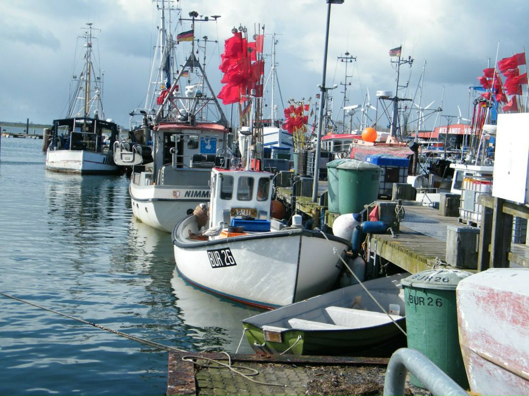 Светлана Губская | Харьков