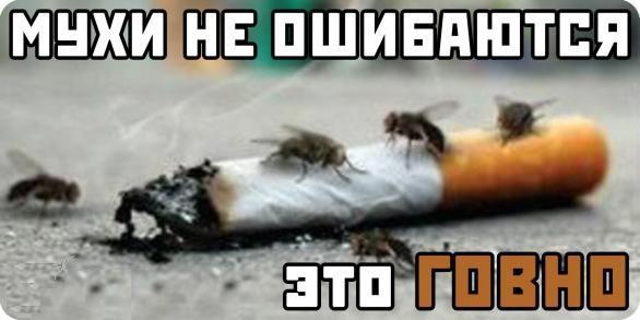 №4, Олег Терещенков, Житомир №4, Олег Терещенков, Житомир