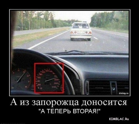 Евгений Чашин | Санкт-Петербург