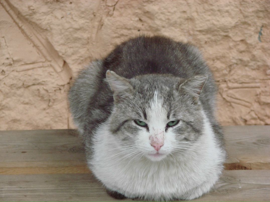 Ольга Глаз | Мурманск