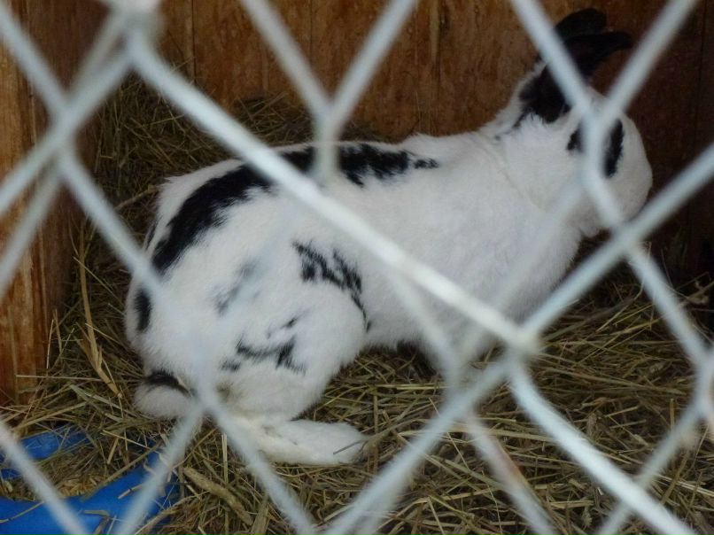 Павел Чернятьев | Екатеринбург