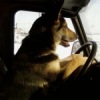Аватар: Iiiiiii Ooooo