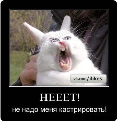 Анатолий Шева | Николаев