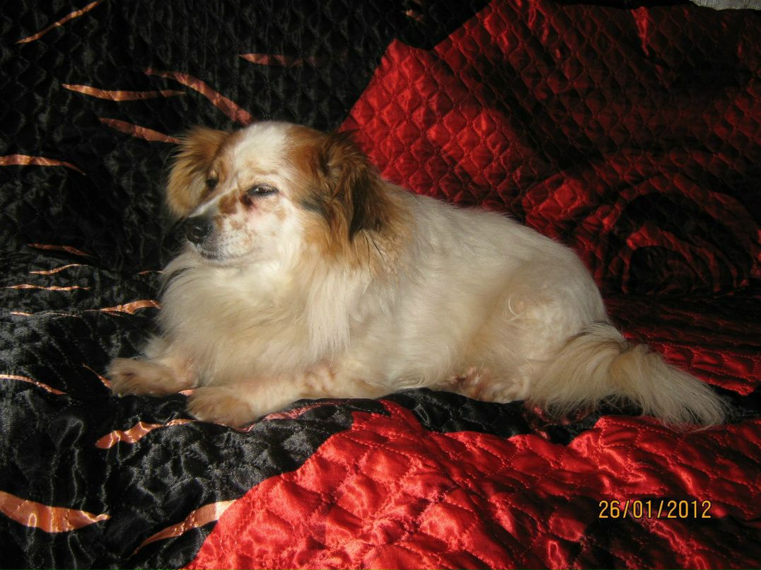 Наталья Палагичева | Санкт-Петербург