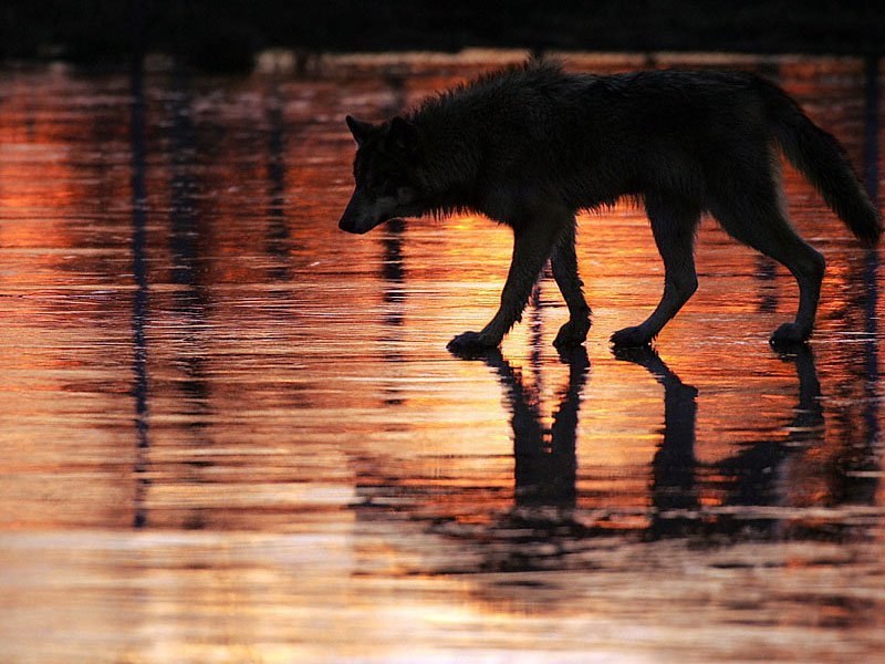 Валера Боровской | Москва