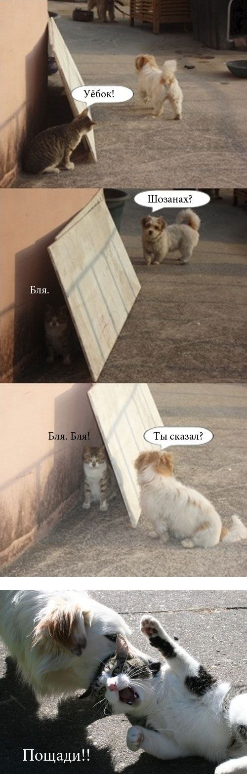 Eddie Esenov | Элиста