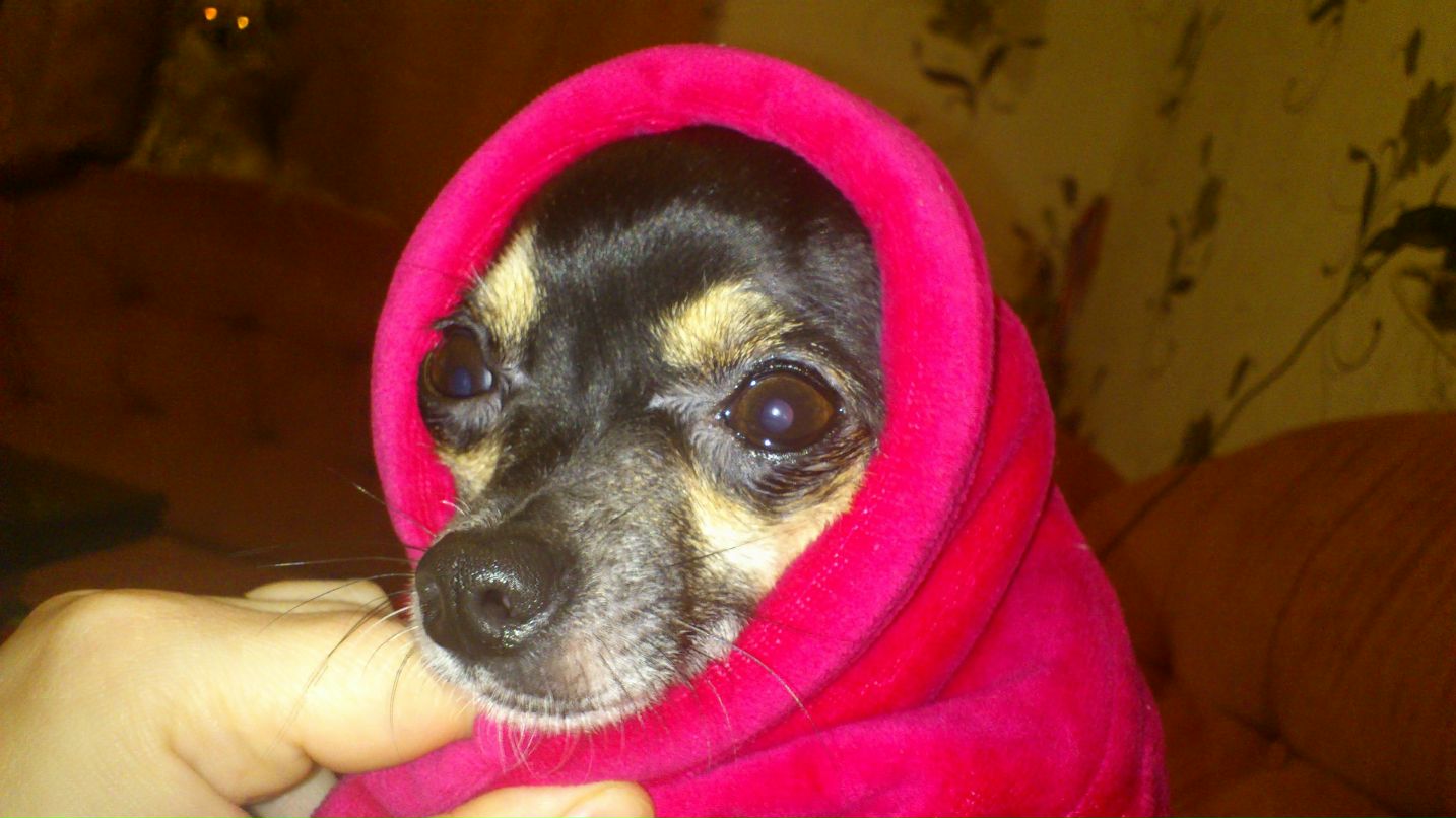 Александра Корепина | Санкт-Петербург