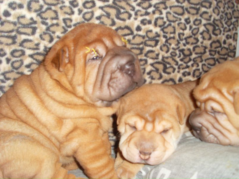 №29, Юля Прокоса, Новоуральск, Россия №29, Юля Прокоса, Новоуральск, Россия