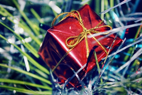 №93, Ката Долгова, Киев №93, Ката Долгова, Киев