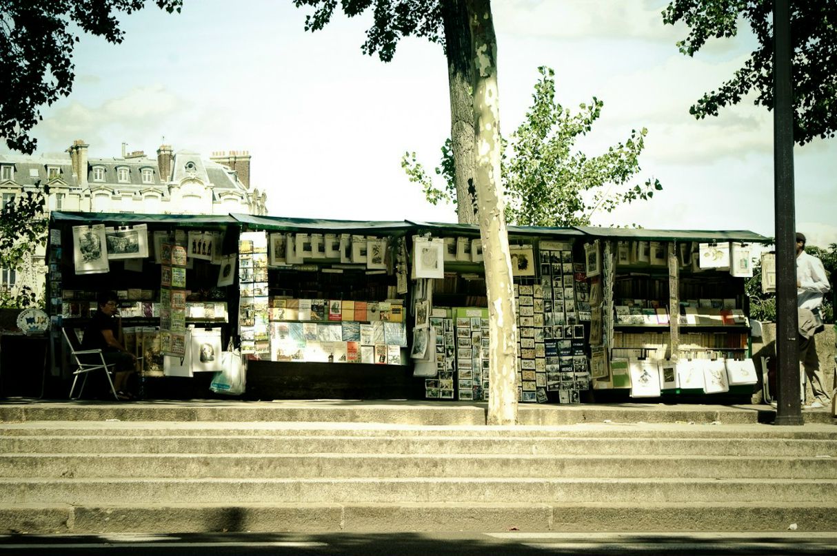 Анастасия Тюменева | 