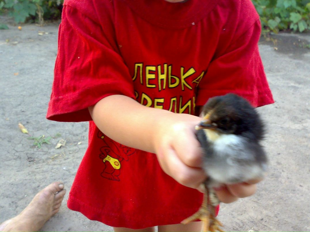 Лена Срезникова | Запорожье