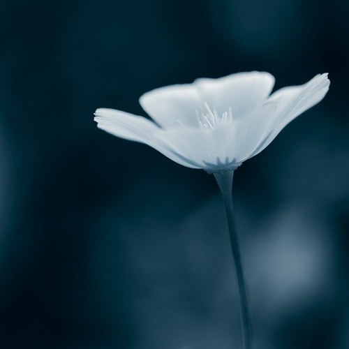 Иришка Ikrinka | Краснодар