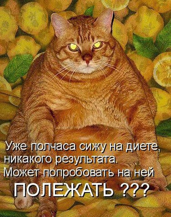 Денис Работягов | Запорожье