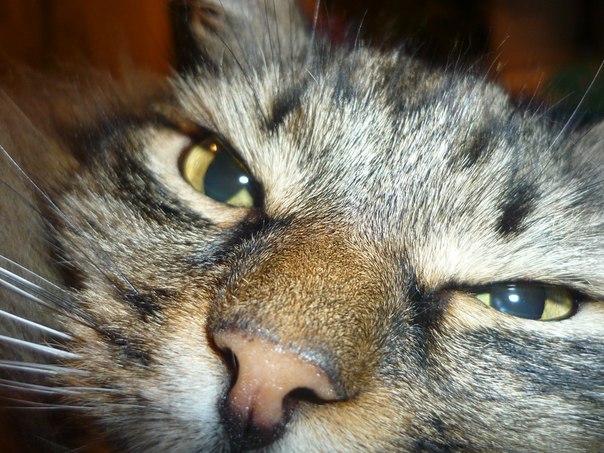 №29, Екатерина Шмидт, 36 лет, Томск №29, Екатерина Шмидт, 36 лет, Томск