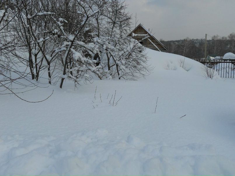 №45, Светлана Волкова, 85 лет, Чебоксары №45, Светлана Волкова, 85 лет, Чебоксары