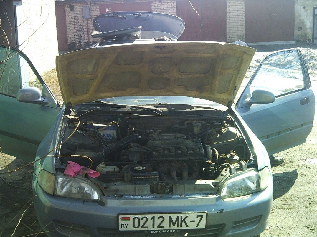 Виталик Кокшинцев | Москва