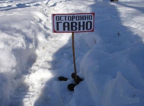 Тата Лосева | Москва