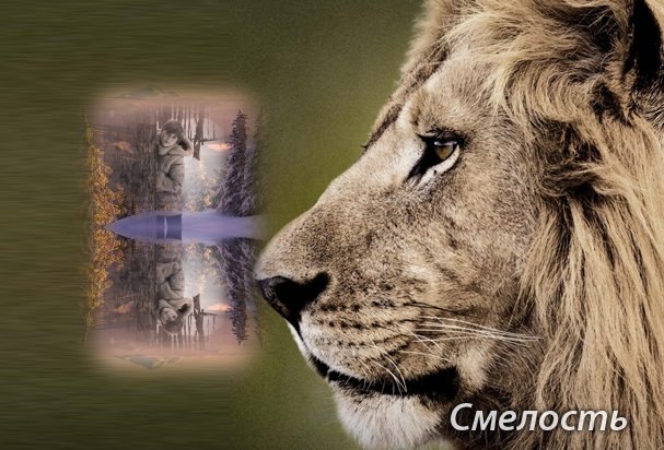 Машута Безолюк | Киев