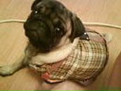 Лейсан Насырова | Карабаш (поселок)