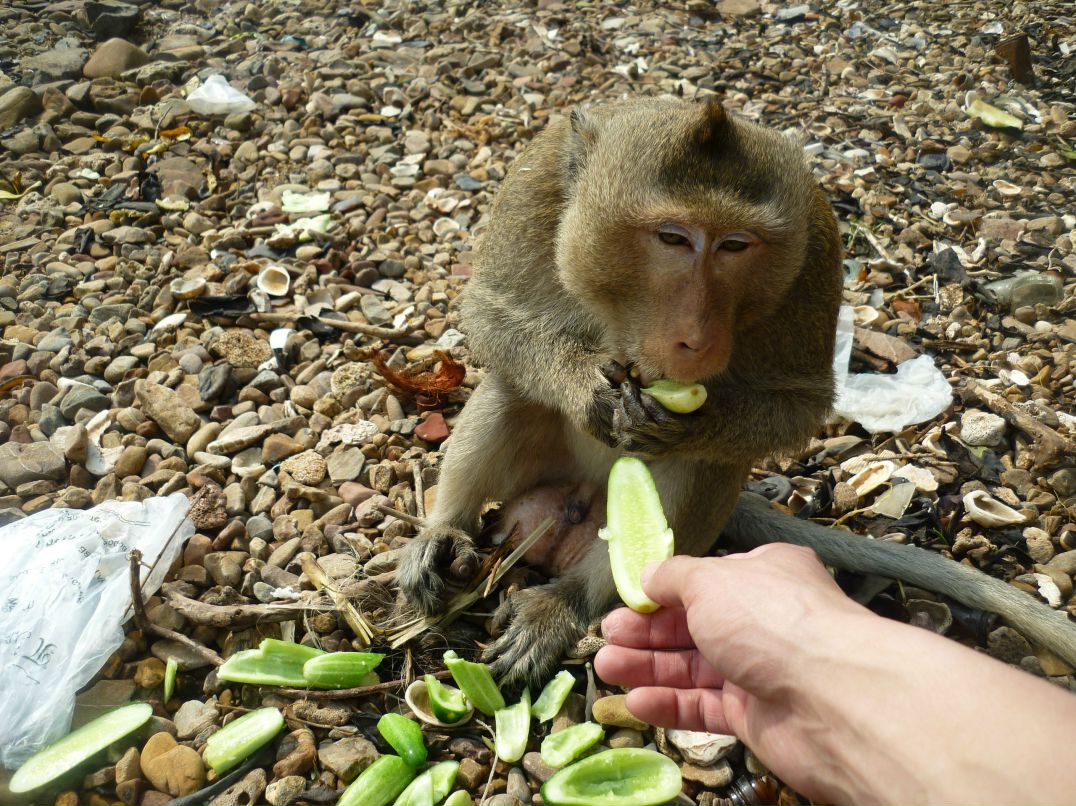 Дмитрий Чебодаев DEMON | Абакан