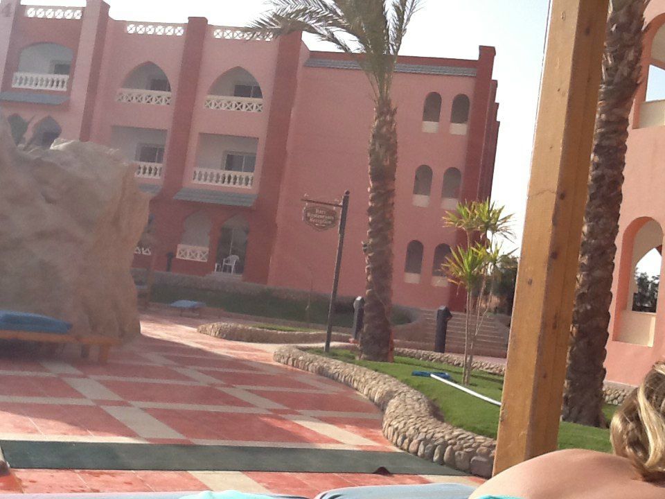 Ирина Лашина | Гатчина