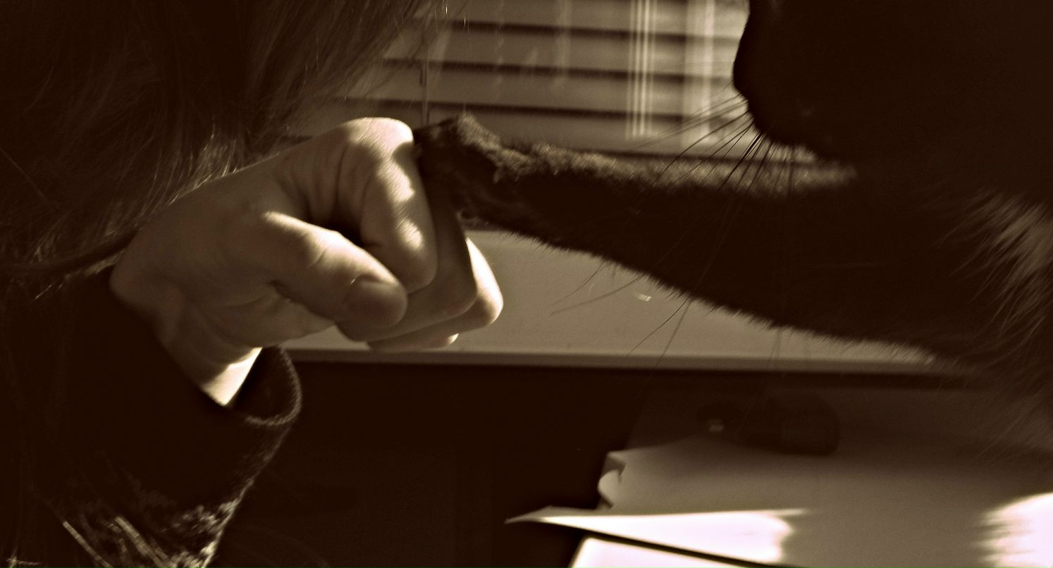 Ульяна Парфенова | Красноярск