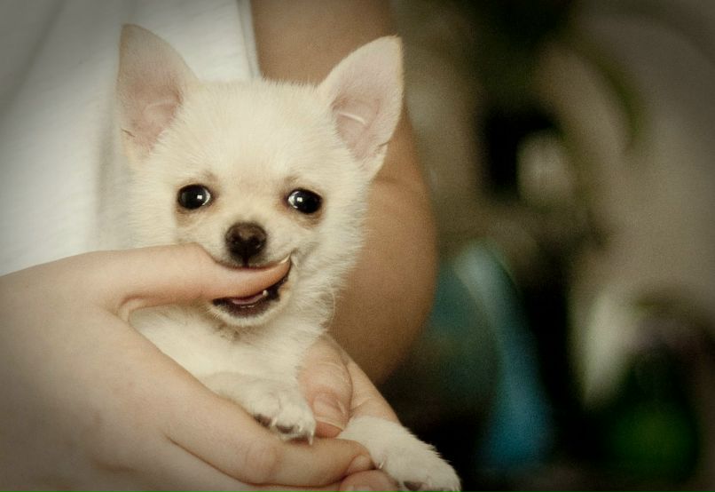 Алёна Федорова | Оренбург