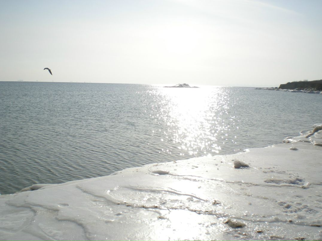 Ксения Ревенко | 