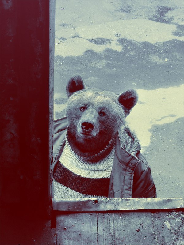 Ирка Ситникова Bu_kah_ka | Albox