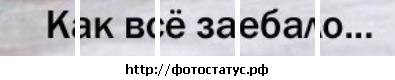 №140, Вероника Стрильчук №140, Вероника Стрильчук